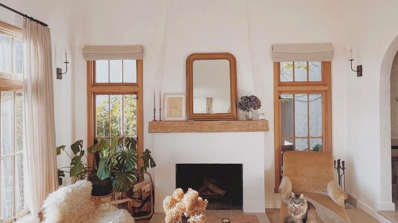 Best of Both Worlds: The Joy of Owning Vintage Rugs and Sharing Your Home with Pets