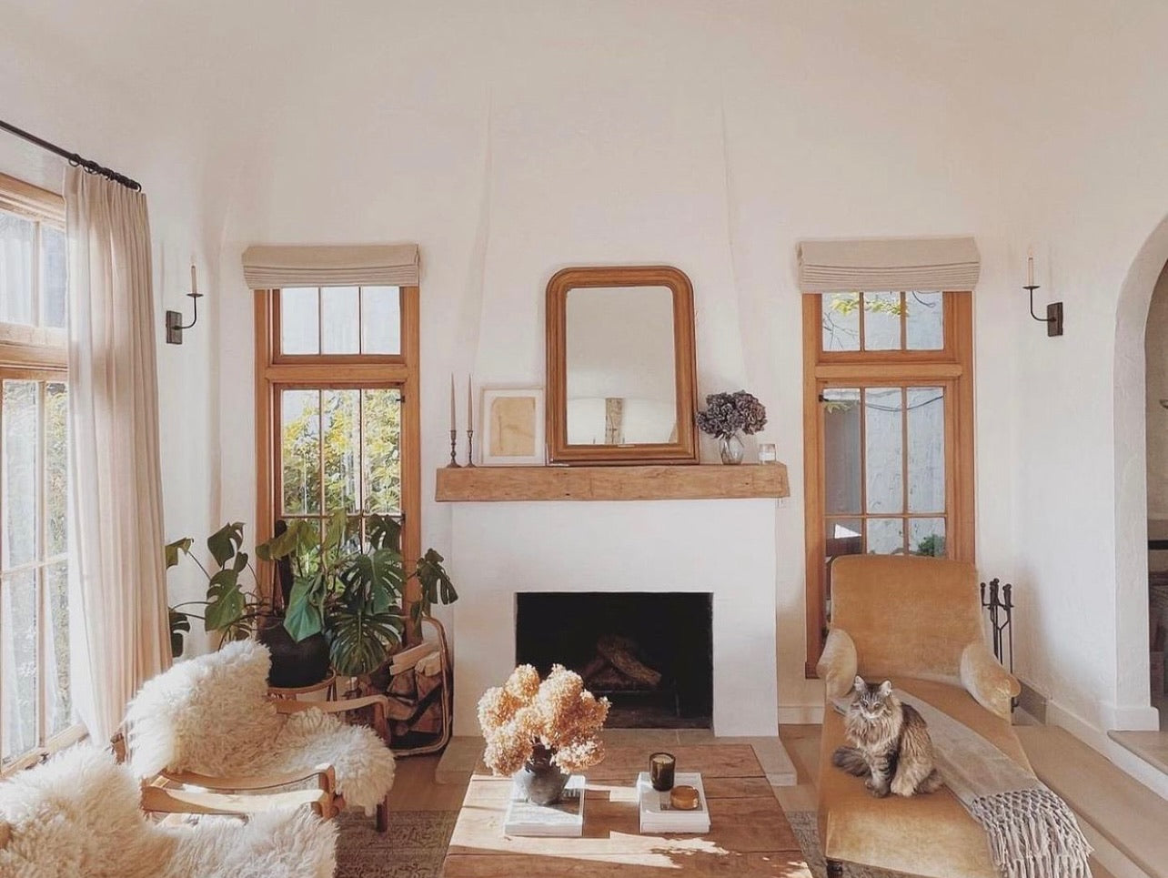Best of Both Worlds: The Joy of Owning Vintage Rugs and Sharing Your Home with Pets